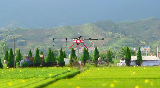 深夜乳液频道丶6樱花免费
