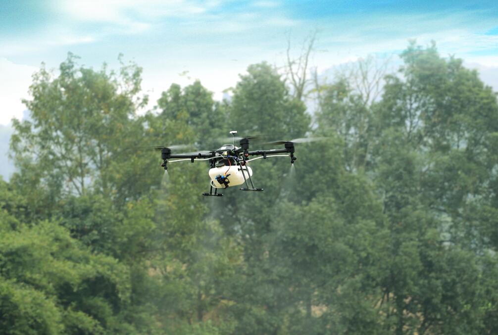 深夜乳液频道丶6樱花免费