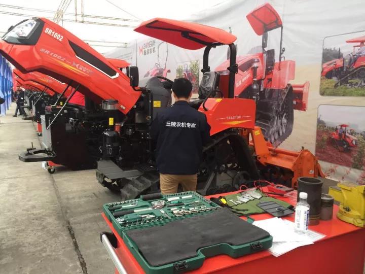 深夜乳液频道丶6樱花免费