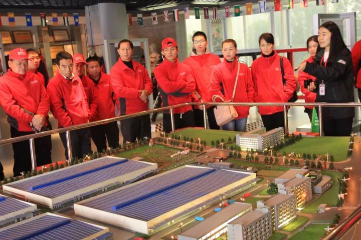 深夜乳液频道丶6樱花免费