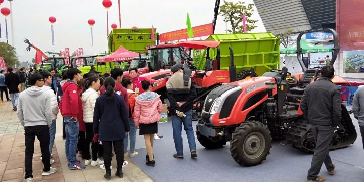 深夜乳液频道丶6樱花免费