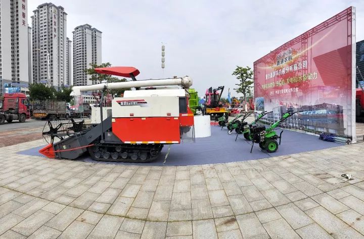 深夜乳液频道丶6樱花免费