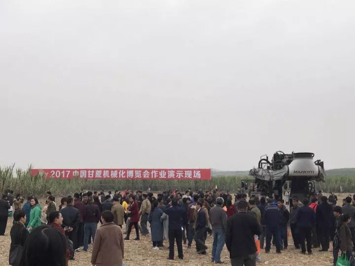 深夜乳液频道丶6樱花免费