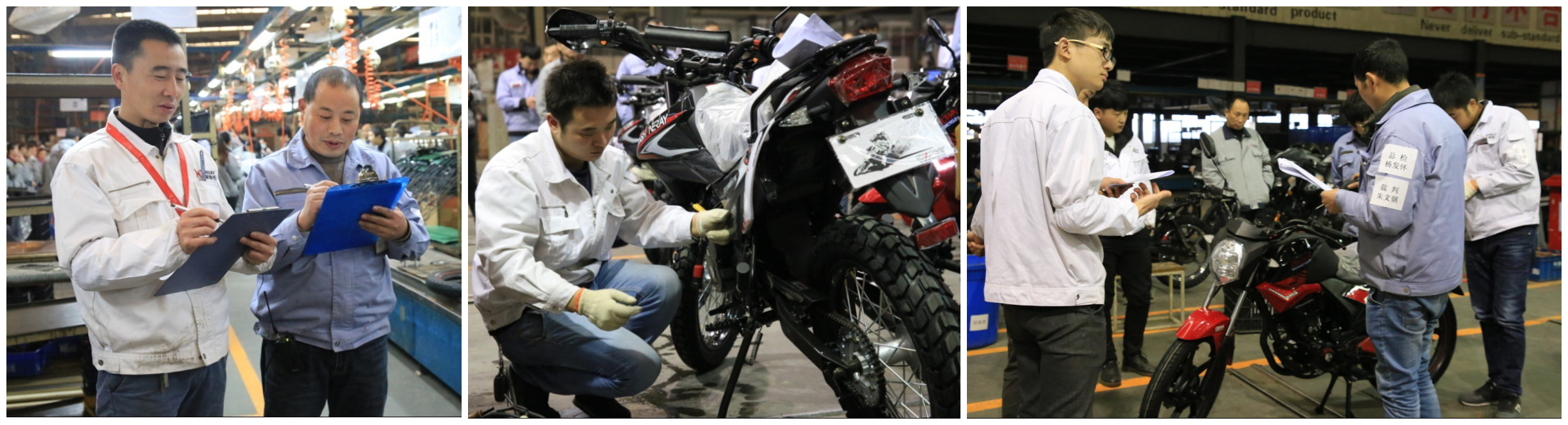 深夜乳液频道丶6樱花免费