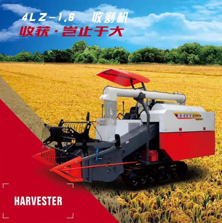 深夜乳液频道丶6樱花免费