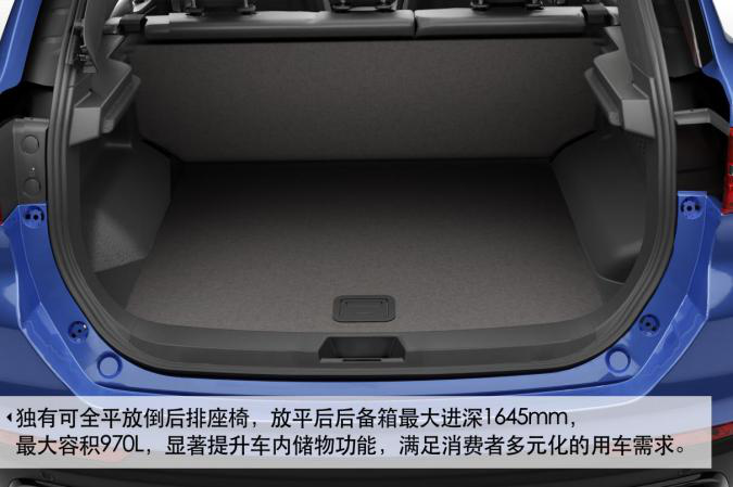 深夜乳液频道丶6樱花免费