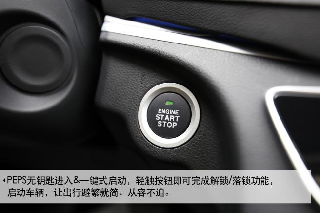 深夜乳液频道丶6樱花免费