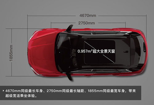 深夜乳液频道丶6樱花免费