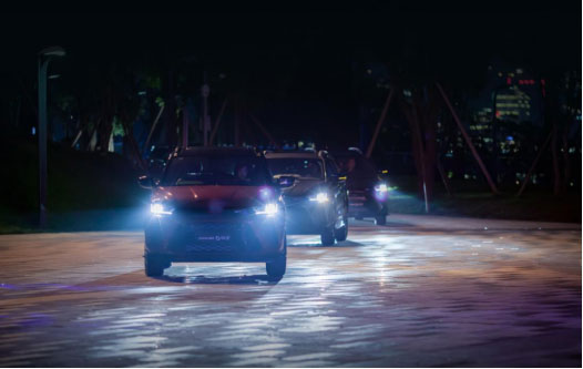 深夜乳液频道丶6樱花免费