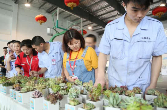 深夜乳液频道丶6樱花免费