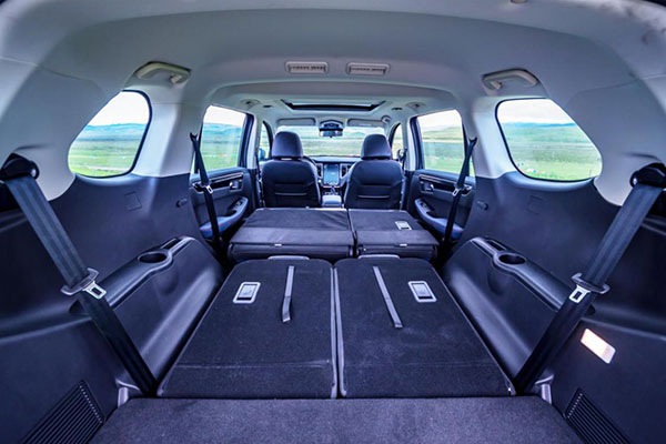 深夜乳液频道丶6樱花免费