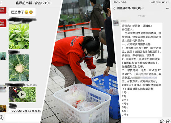 深夜乳液频道丶6樱花免费