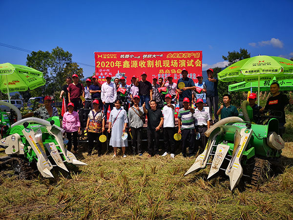 深夜乳液频道丶6樱花免费