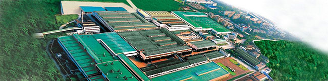 深夜乳液频道丶6樱花免费