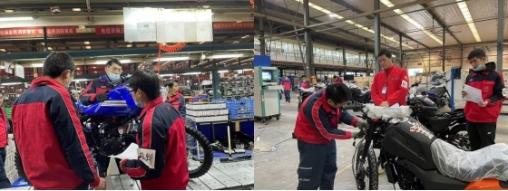 深夜乳液频道丶6樱花免费