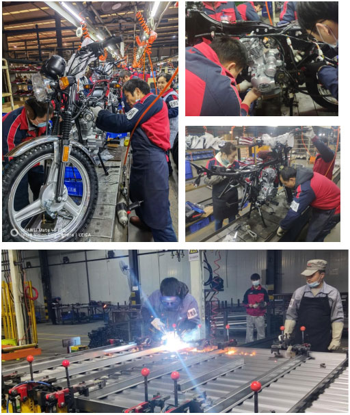 深夜乳液频道丶6樱花免费