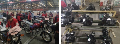 深夜乳液频道丶6樱花免费