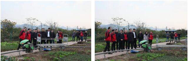 深夜乳液频道丶6樱花免费