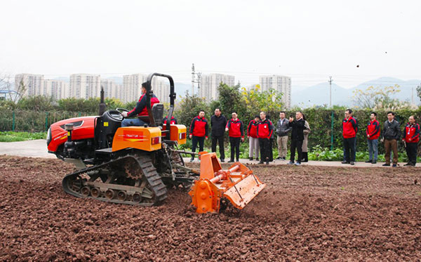 深夜乳液频道丶6樱花免费