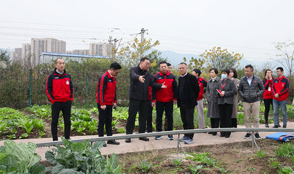 深夜乳液频道丶6樱花免费