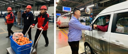 深夜乳液频道丶6樱花免费