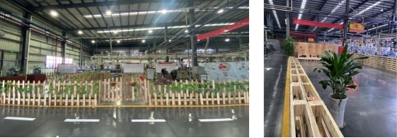 深夜乳液频道丶6樱花免费