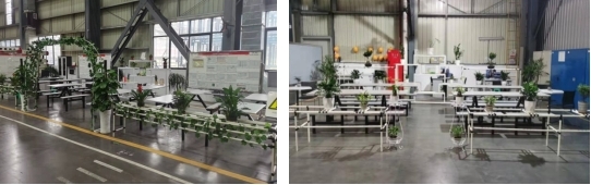 深夜乳液频道丶6樱花免费