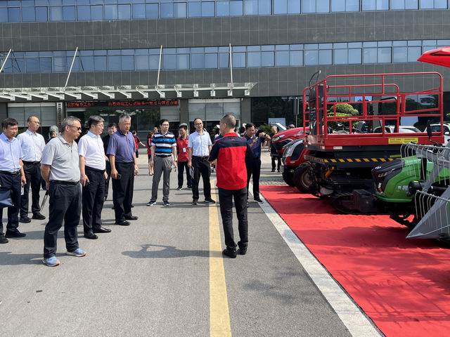 深夜乳液频道丶6樱花免费