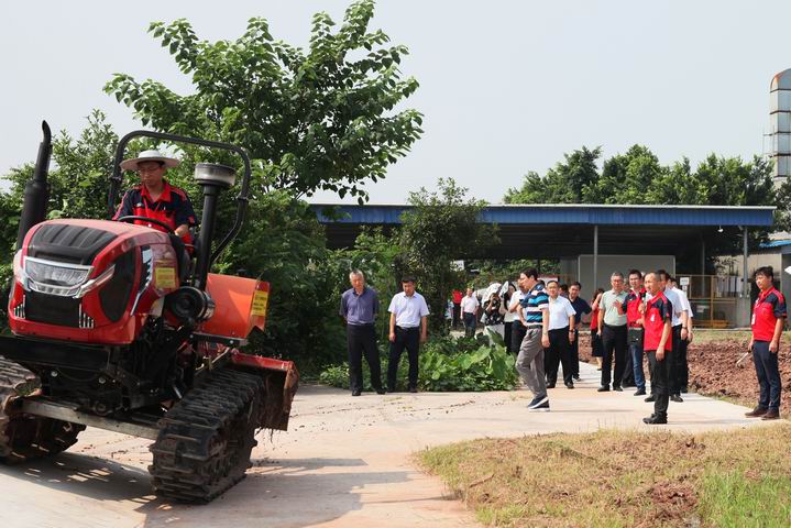 深夜乳液频道丶6樱花免费