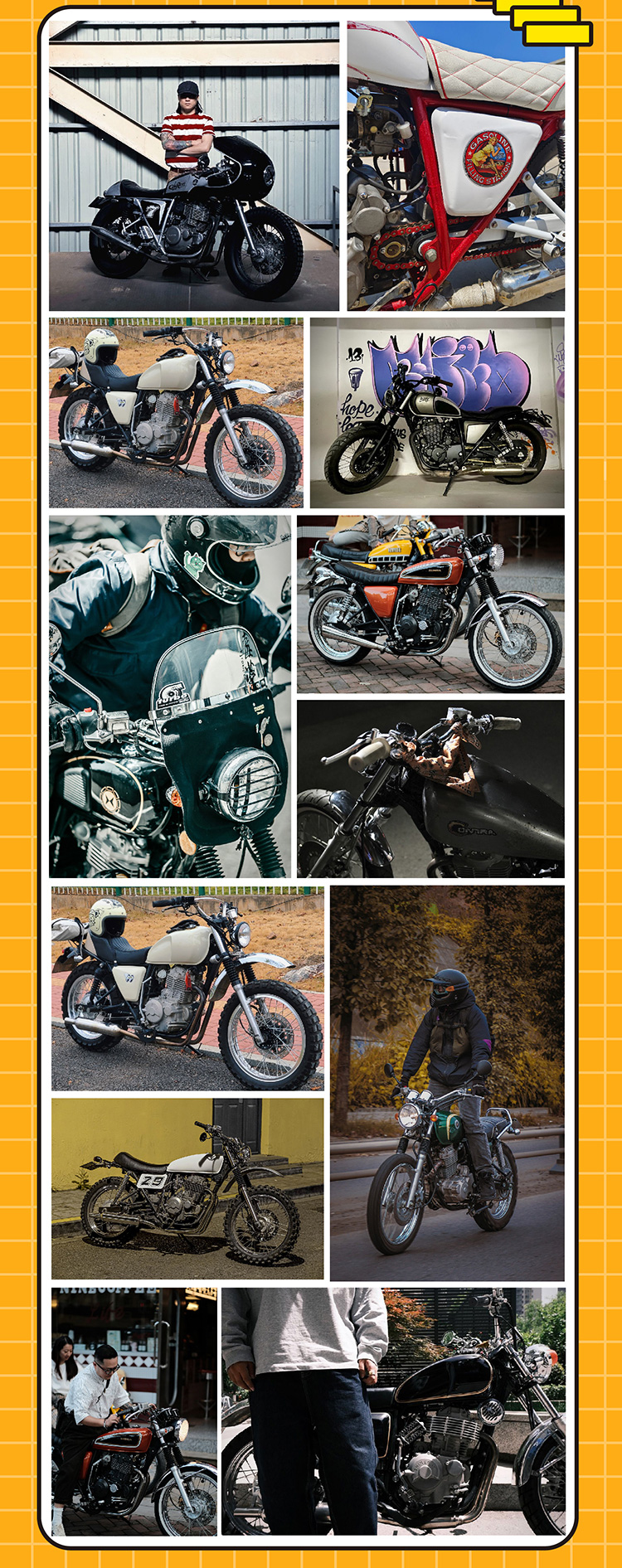 深夜乳液频道丶6樱花免费