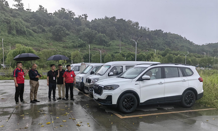 深夜乳液频道丶6樱花免费