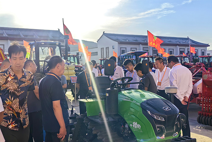 深夜乳液频道丶6樱花免费