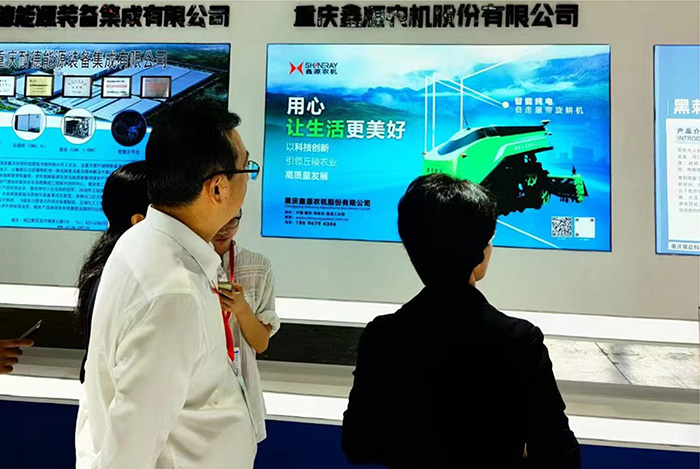 深夜乳液频道丶6樱花免费