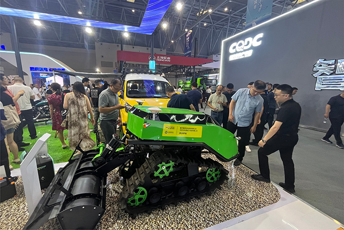 深夜乳液频道丶6樱花免费